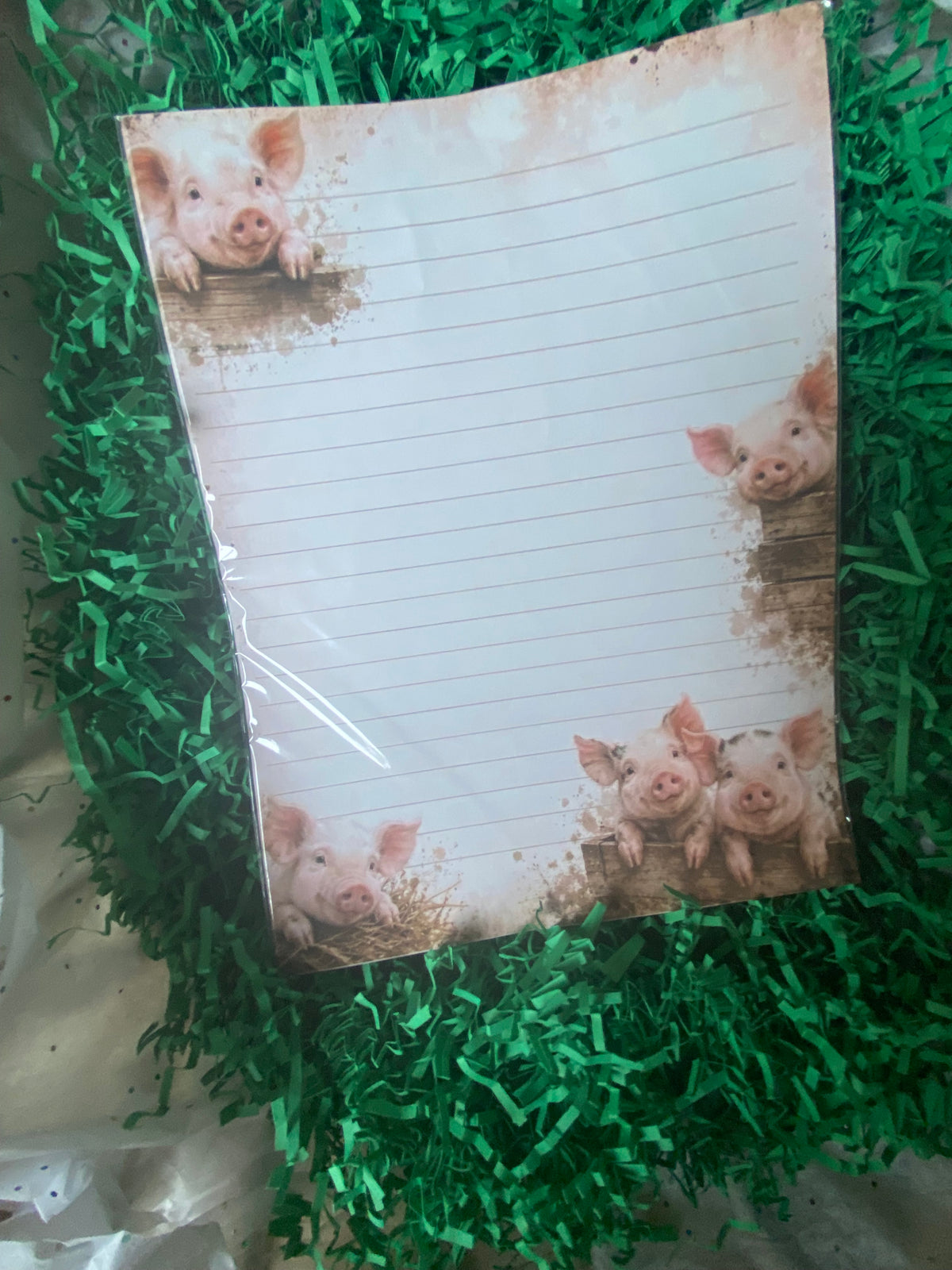 Stationary Pack￼